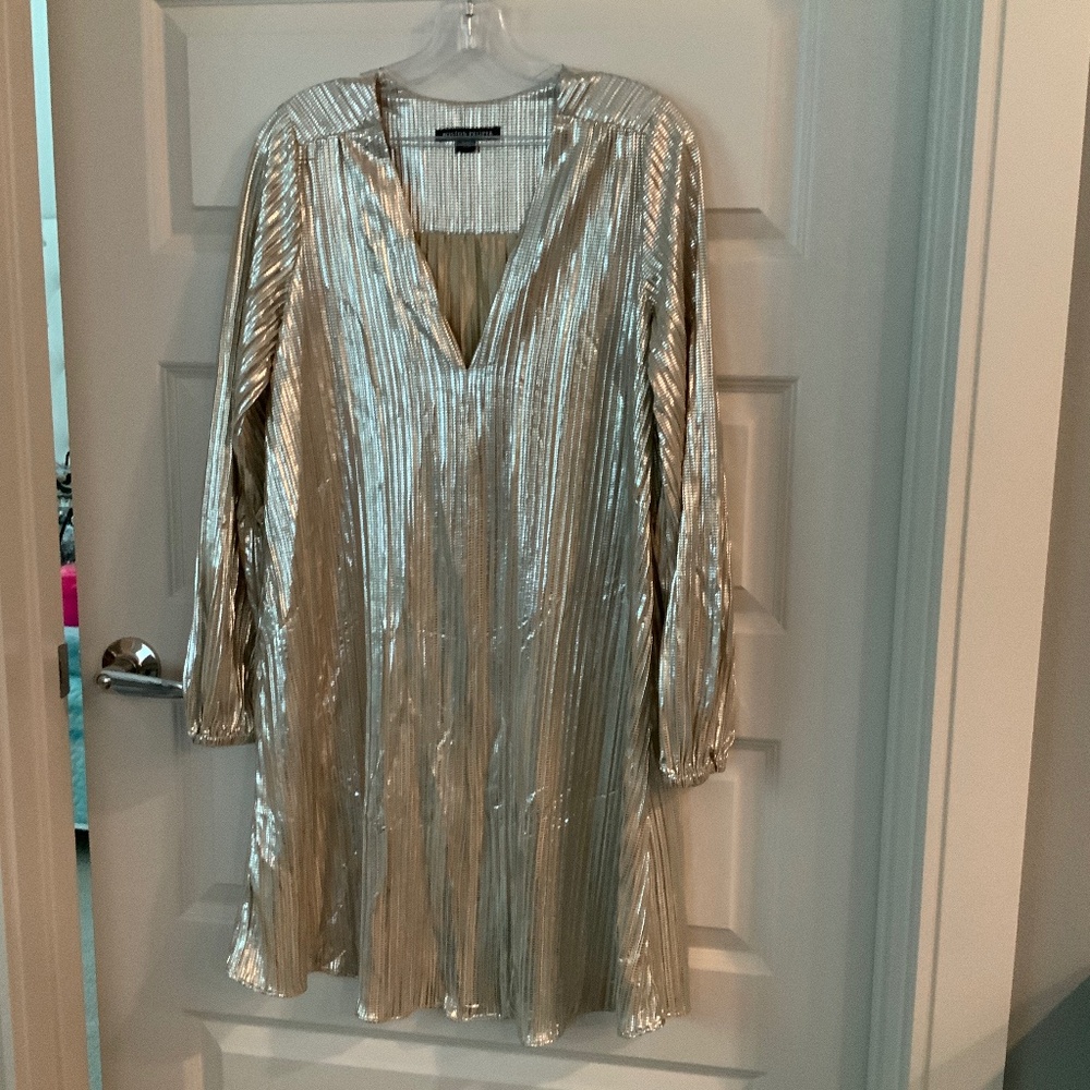 Silver Champagne Metallic Dress Boston Proper